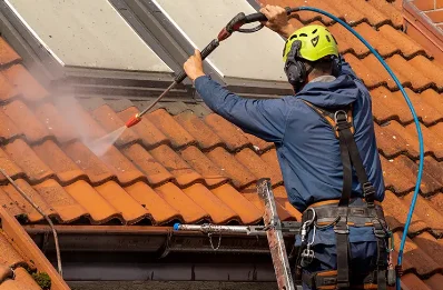 Démoussage et hydrofuge de toiture à Chatelay